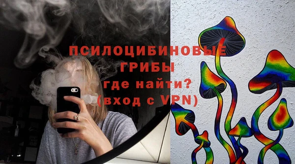 ПСИЛОЦИБИНОВЫЕ ГРИБЫ Алзамай