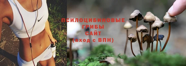 спиды Алексин