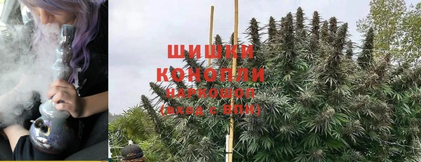 ПСИЛОЦИБИНОВЫЕ ГРИБЫ Алзамай