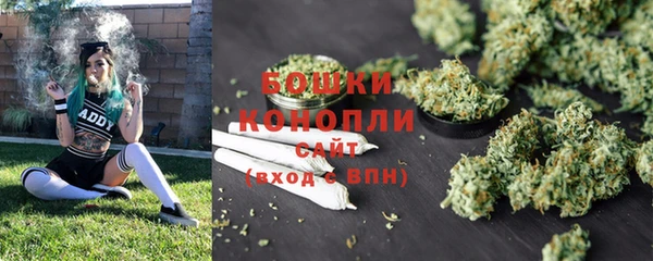 ПСИЛОЦИБИНОВЫЕ ГРИБЫ Алзамай