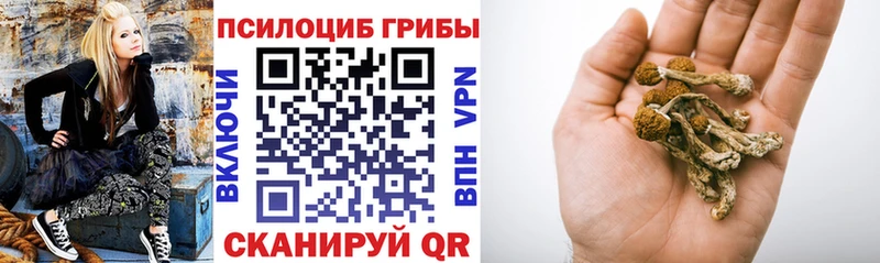 Галлюциногенные грибы GOLDEN TEACHER  Опочка 